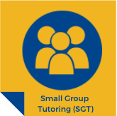 sgt-program-icon