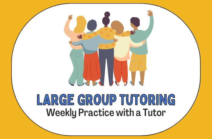 large-group-tutoring-program.png