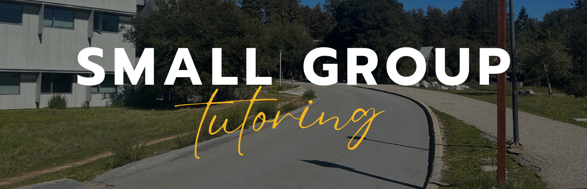 Small Group Tutoring